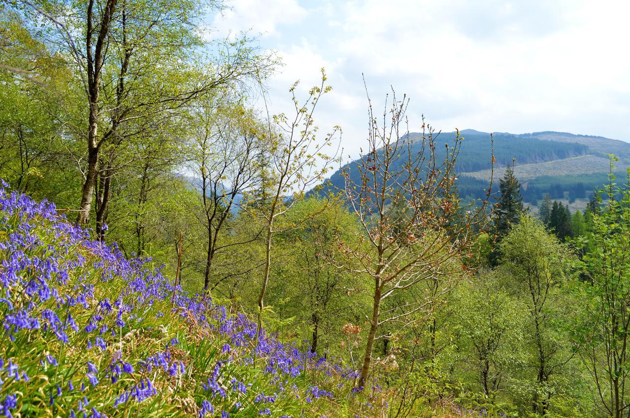 Glenbranter Cottage Strachur Екстер'єр фото